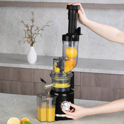 Storcător cu Presare la Rece (Slow Juicer)